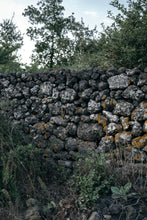 Laden Sie das Bild in den Galerie-Viewer, Weinkeller Hohenbrunn: Bilder vom Weingut Generazione Alessandro -Lavatrockensteinmauer