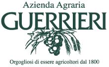 Laden Sie das Bild in den Galerie-Viewer, Bianchello del Metauro D.O.C