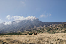 Laden Sie das Bild in den Galerie-Viewer, Weinkeller Hohenbrunn: Bilder vom Weingut Generazione Alessandro - Blick auf den Ätna