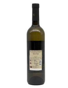 Weinkeller Hohenbrunn: Weinflasche mit Etikett von hinten von der Cantina Conselve mit Pinot Grigio " Linea Corti Benedettine" DOC