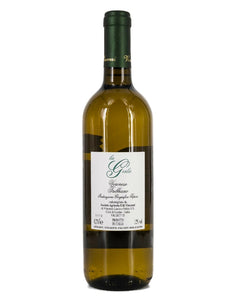 Weinkeller Hohenbrunn: Weinflaschenbild von hinten mit Etikett von F.Ille Vincenzi mit La Gerla Trebbiano IGT