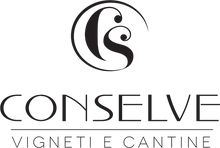 Laden Sie das Bild in den Galerie-Viewer, Weinkeller Hohenbrunn: Logo der Cantina Conselve
